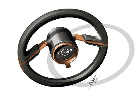 Mini Vision Next 100