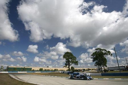 ALMS Qualifying