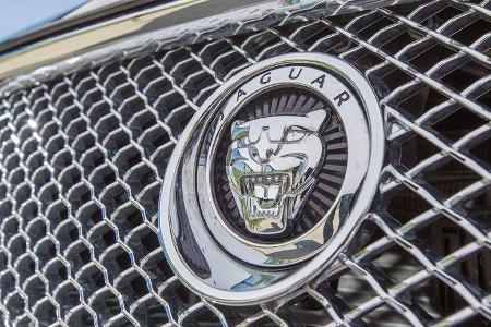 Jaguar XF 3.0 V6, Emblem