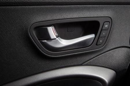 Hyundai Santa Fe, Türgriff