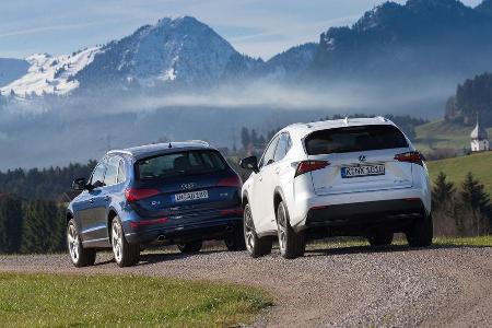 Audi Q5 2.0 TFSI Quattro, Lexus NX 300h E-Four F SPORT, Heckansicht