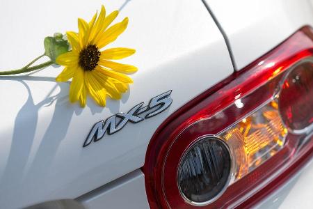 Mazda MX-5 2.0 MZR, Heckleuchte