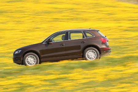 Audi Q5 3.0 TDI Quattro, Seitenansicht, Wiese, Überlandfahrt