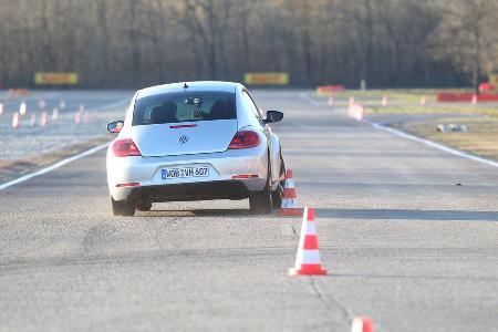 VW Beetle, Heckansicht, Slalom