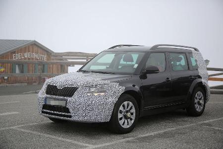 Erlknig Skoda Snowman