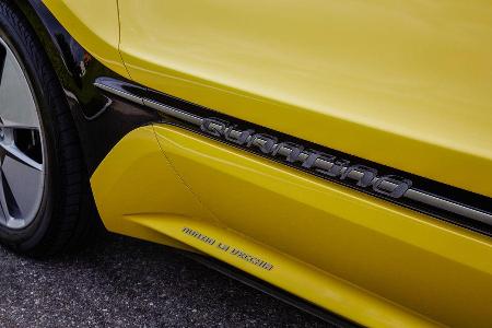 Nano Flowcell Quantino