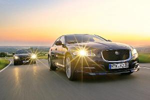 Oberklasse-Exoten, Impression