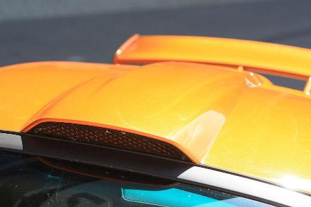 Über diesen Schlund wird der Motor mit Frischluft versorgt.