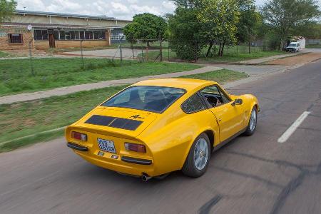 Puma, Sdafrika, Heckansicht