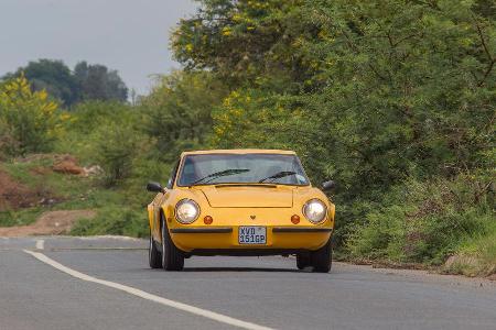 Puma, Sdafrika, Frontansicht