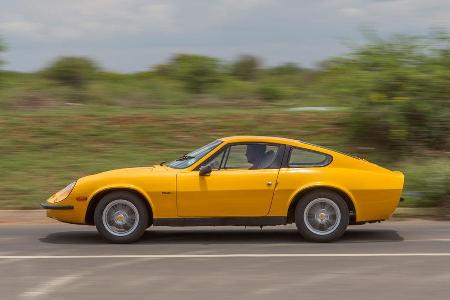 Puma, Sdafrika, Seitenansicht