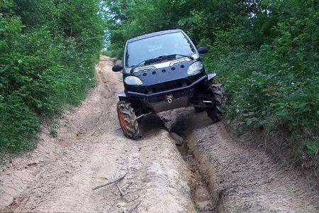 Offroad-Smart fortwo von George Kosilov