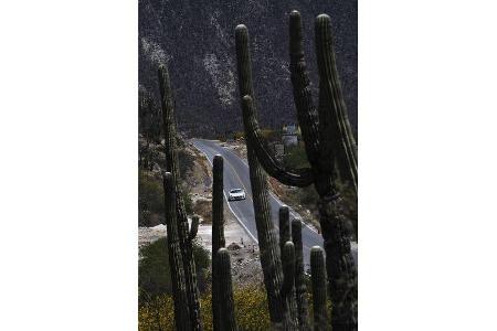 Mercedes-Benz SLS AMG