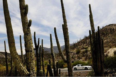 Mercedes-Benz SLS AMG