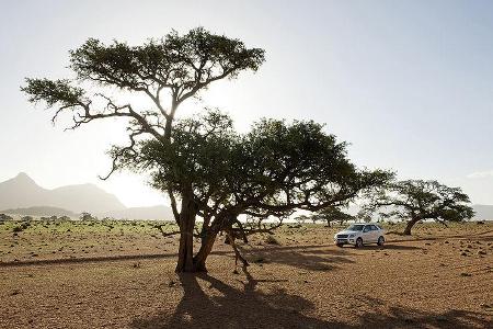 Mercedes M-Klasse, Safari