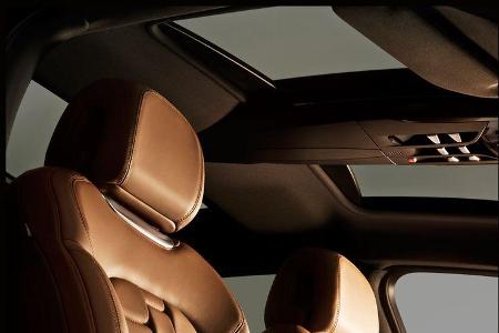 Citroen DS5, Innenraum, Dachhimmel
