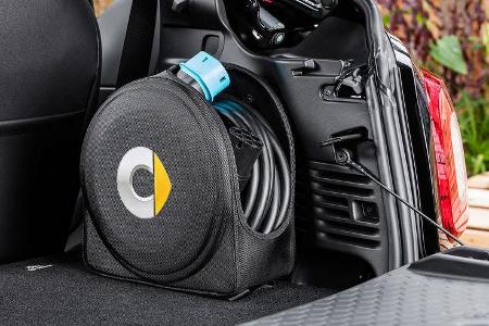 Smart W 453 electric drive (2017)