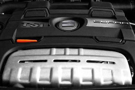 Seat Ibiza Cupra, Motor