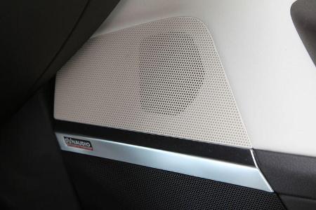 VW CC 1.8 TSI, Innenverkleidung, Seitentür