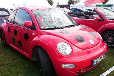 Beetle Sunshinetour