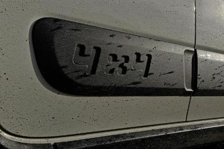 Fiat Panda 1.3 16V Multijet 4X4, Typenbezeichnung