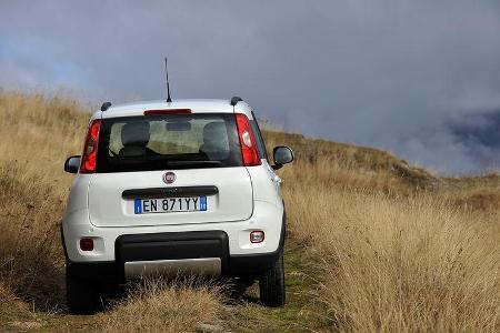 Fiat Panda 1.3 16V Multijet 4X4, Heckansicht
