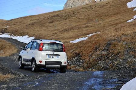 Fiat Panda 1.3 16V Multijet 4X4, Heckansicht