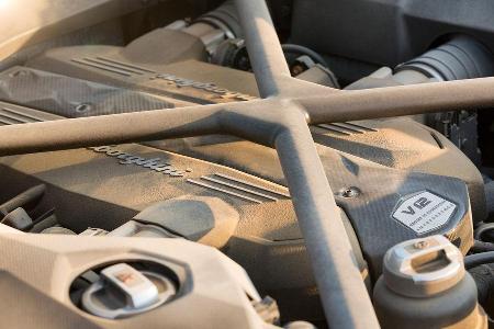 Lamborghini Aventador LP 700-4, Vertrebung