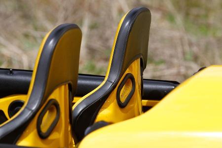 Techart-Porsche 964 Speedster, Kopflehne