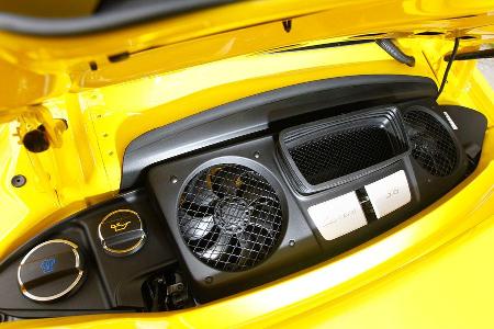 Techart-Porsche 991 Carrera S, Motorbelftung