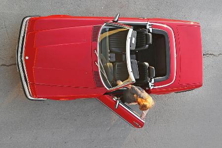 Mercedes-Benz 300 SL, Draufsicht