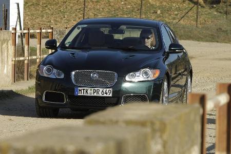 Ein R, wie er im Buche steht: mit einem überzeugenden Motor und guter Agilität.