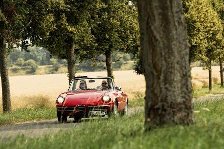 Alfa Spider 1750 Veloce, Frontansicht