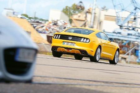 Ford Mustang GT 5.0 Ti-VCT V8, Heckansicht