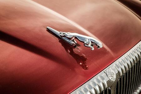 Jaguar XJ 6 (X 300), Khlerfigur