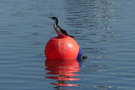 Impressionen - GP Australien - Melbourne - 16. März 2016