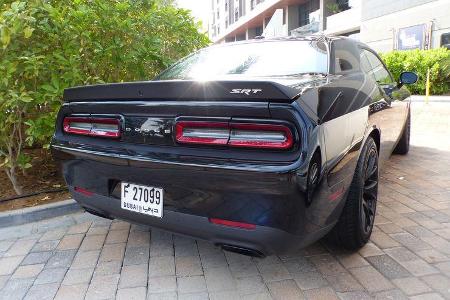Dodge Challenger SRT8 - GP Abu Dhabi - Carspotting 2015