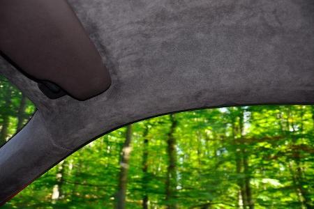 Porsche 911 Carrera, Dachhimmel