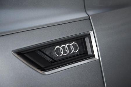 Audi Crosslane, Türgriff