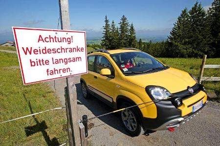 Fiat Panda Cross, Almabtrieb, Impression