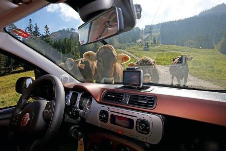 Fiat Panda Cross, Almabtrieb, Impression