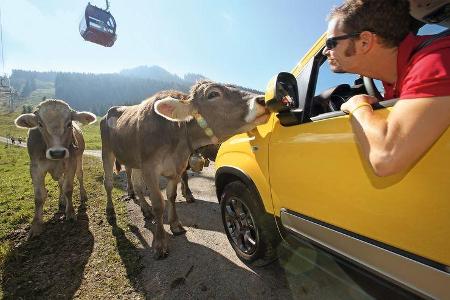 Fiat Panda Cross, Almabtrieb, Impression