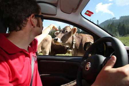 Fiat Panda Cross, Almabtrieb, Impression