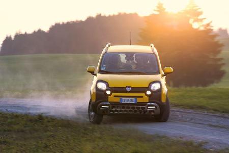 Fiat Panda Cross, Almabtrieb, Impression