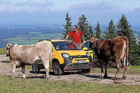 Fiat Panda Cross, Almabtrieb, Impression