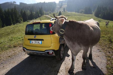 Fiat Panda Cross, Almabtrieb, Impression