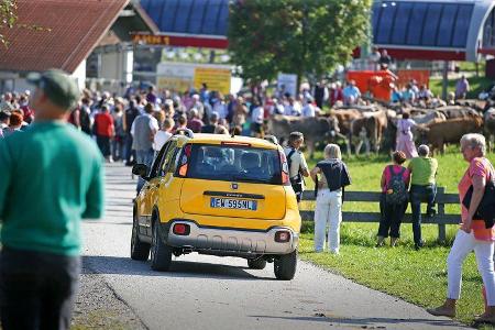 Fiat Panda Cross, Almabtrieb, Impression