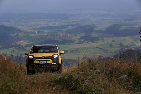 Fiat Panda Cross, Almabtrieb, Impression