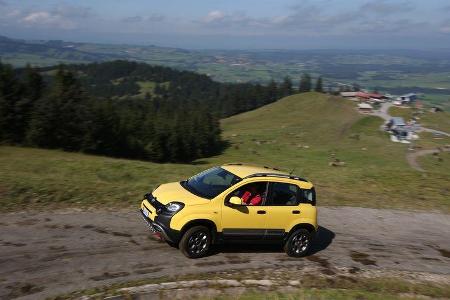 Fiat Panda Cross, Almabtrieb, Impression