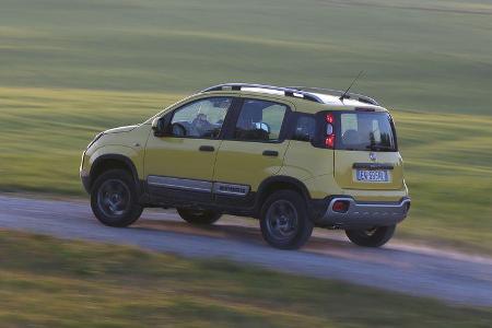 Fiat Panda Cross, Almabtrieb, Impression